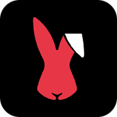 RabbitX
